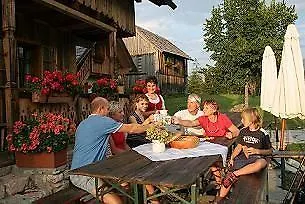 Bed Only Montana Ausseerland Hotel apartamentowy Bad Mitterndorf