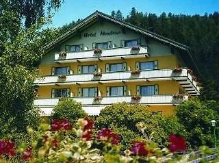 Bed Only Montana Ausseerland 4*