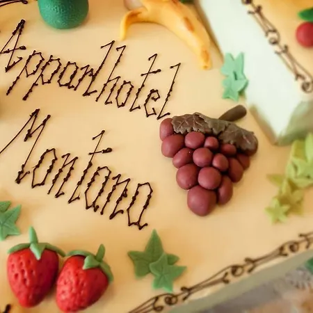 Aparthotel Bed Only Montana Ausseerland 4*