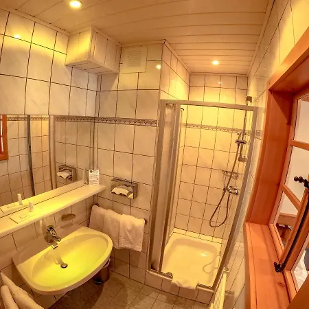 Aparthotel Bed Only Montana Ausseerland 4*